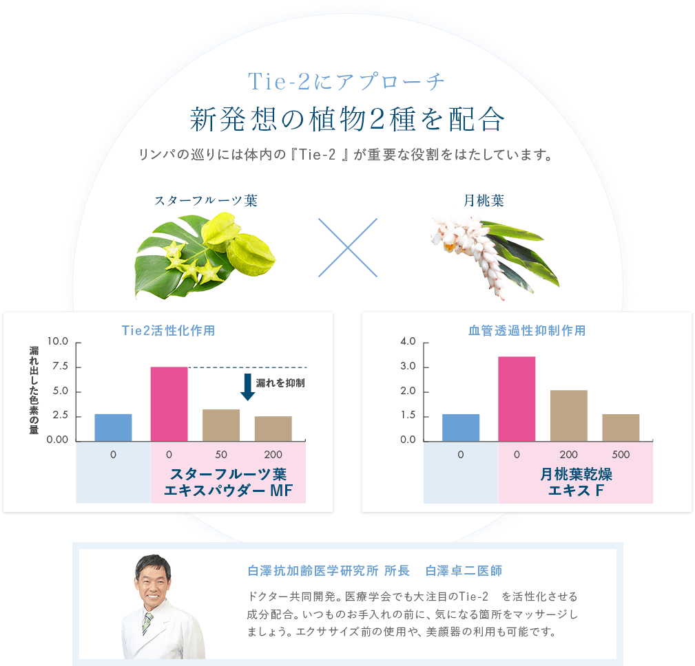 Tie-2を活性化させる奇跡の植物2種を配合